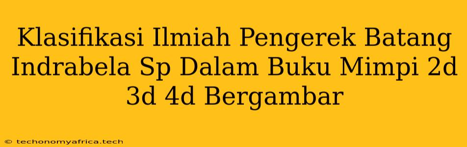 Klasifikasi Ilmiah Pengerek Batang Indrabela Sp Dalam Buku Mimpi 2d 3d 4d Bergambar