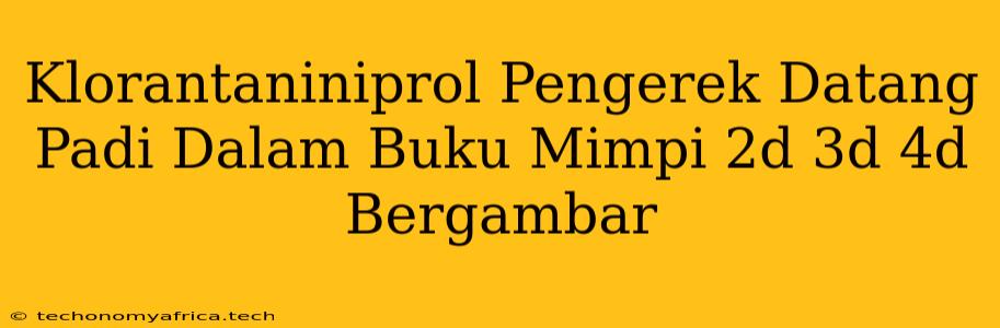 Klorantaniniprol Pengerek Datang Padi Dalam Buku Mimpi 2d 3d 4d Bergambar