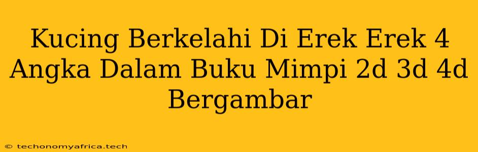 Kucing Berkelahi Di Erek Erek 4 Angka Dalam Buku Mimpi 2d 3d 4d Bergambar