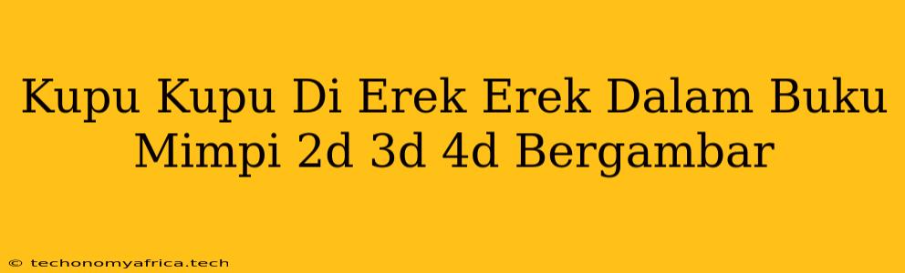 Kupu Kupu Di Erek Erek Dalam Buku Mimpi 2d 3d 4d Bergambar