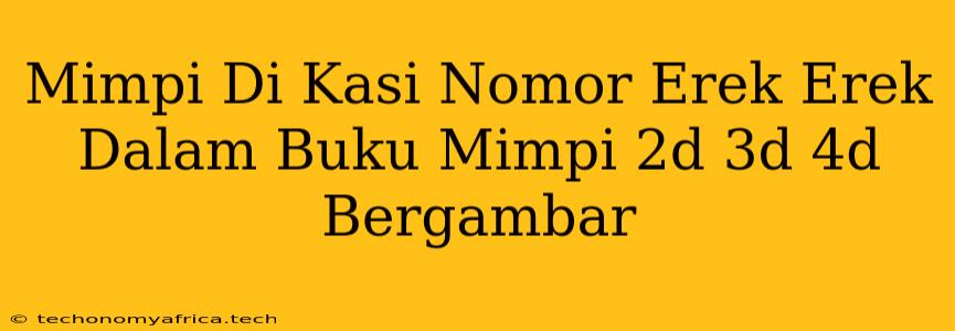 Mimpi Di Kasi Nomor Erek Erek Dalam Buku Mimpi 2d 3d 4d Bergambar