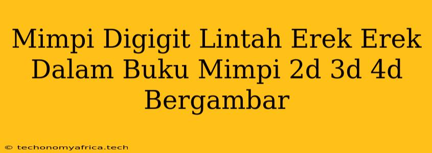 Mimpi Digigit Lintah Erek Erek Dalam Buku Mimpi 2d 3d 4d Bergambar