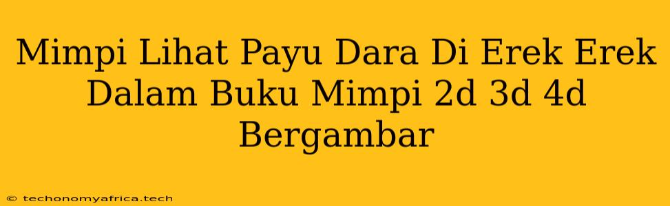 Mimpi Lihat Payu Dara Di Erek Erek Dalam Buku Mimpi 2d 3d 4d Bergambar