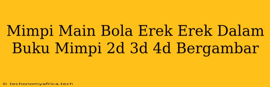 Mimpi Main Bola Erek Erek Dalam Buku Mimpi 2d 3d 4d Bergambar