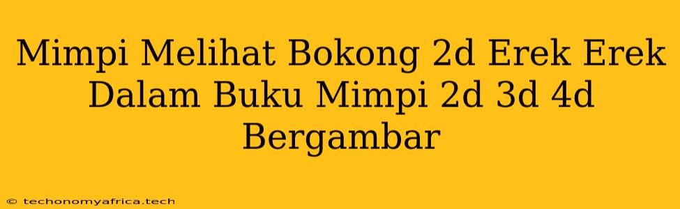 Mimpi Melihat Bokong 2d Erek Erek Dalam Buku Mimpi 2d 3d 4d Bergambar