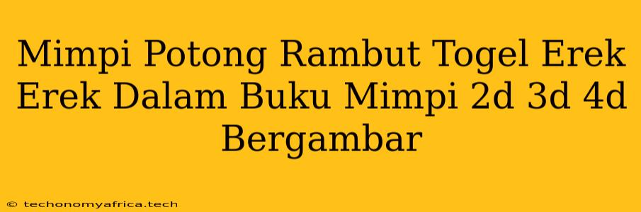 Mimpi Potong Rambut Togel Erek Erek Dalam Buku Mimpi 2d 3d 4d Bergambar