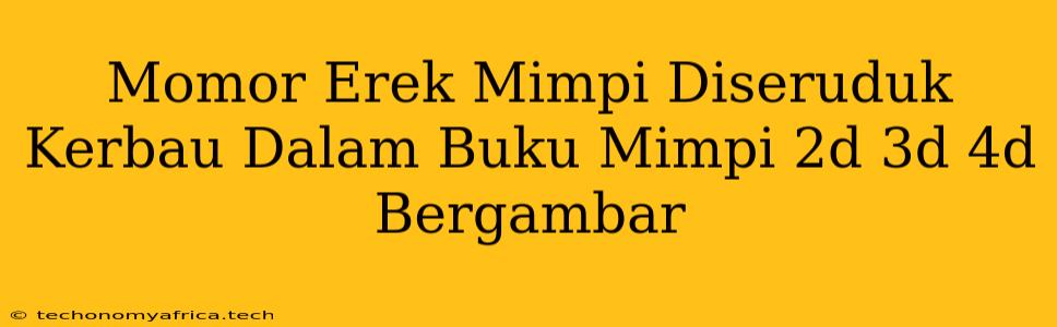 Momor Erek Mimpi Diseruduk Kerbau Dalam Buku Mimpi 2d 3d 4d Bergambar