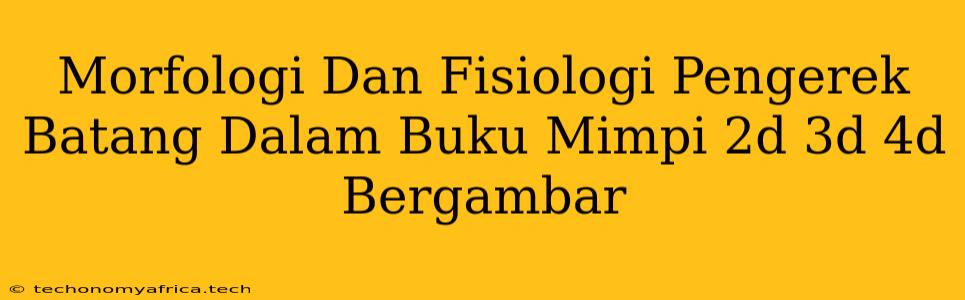 Morfologi Dan Fisiologi Pengerek Batang Dalam Buku Mimpi 2d 3d 4d Bergambar