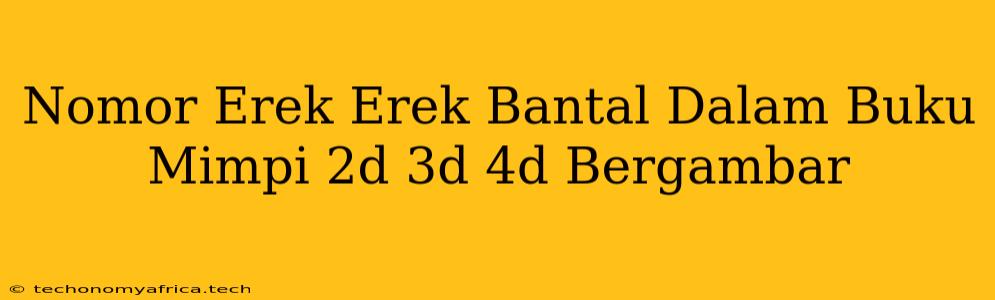 Nomor Erek Erek Bantal Dalam Buku Mimpi 2d 3d 4d Bergambar