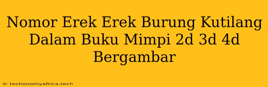 Nomor Erek Erek Burung Kutilang Dalam Buku Mimpi 2d 3d 4d Bergambar