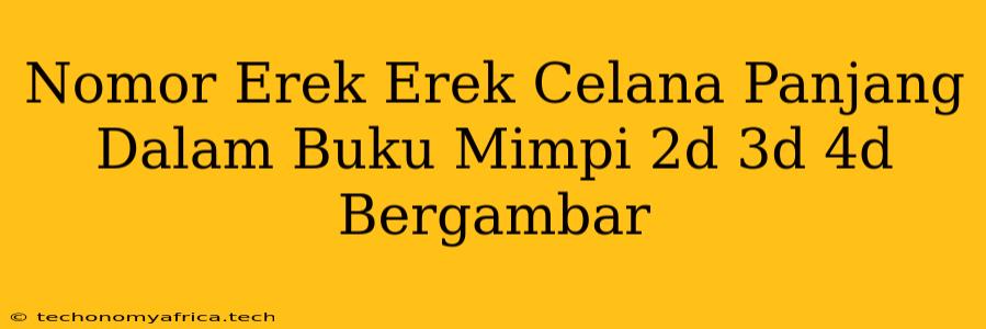 Nomor Erek Erek Celana Panjang Dalam Buku Mimpi 2d 3d 4d Bergambar