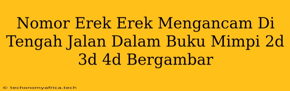 Nomor Erek Erek Mengancam Di Tengah Jalan Dalam Buku Mimpi 2d 3d 4d Bergambar