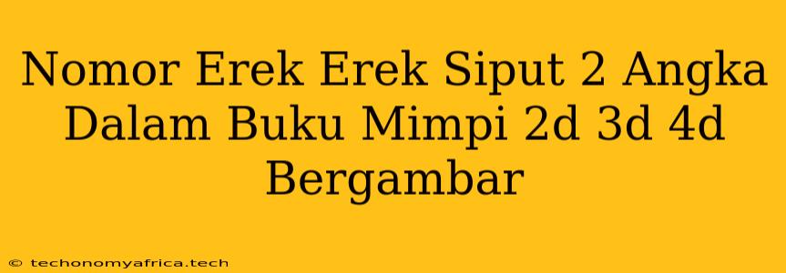 Nomor Erek Erek Siput 2 Angka Dalam Buku Mimpi 2d 3d 4d Bergambar