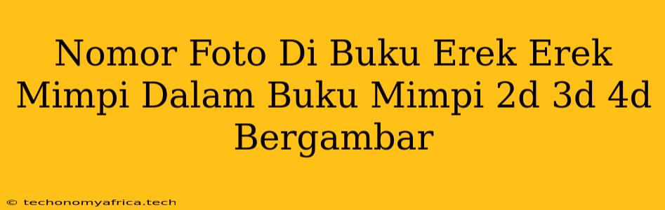 Nomor Foto Di Buku Erek Erek Mimpi Dalam Buku Mimpi 2d 3d 4d Bergambar