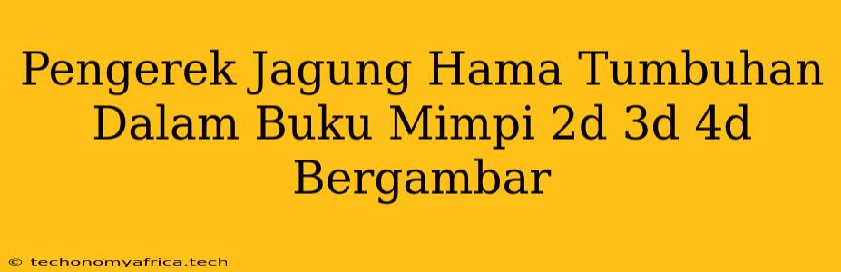 Pengerek Jagung Hama Tumbuhan Dalam Buku Mimpi 2d 3d 4d Bergambar