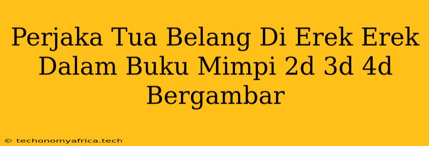 Perjaka Tua Belang Di Erek Erek Dalam Buku Mimpi 2d 3d 4d Bergambar