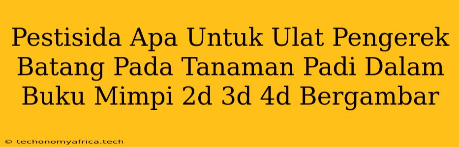 Pestisida Apa Untuk Ulat Pengerek Batang Pada Tanaman Padi Dalam Buku Mimpi 2d 3d 4d Bergambar