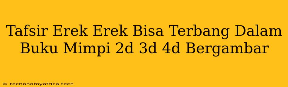 Tafsir Erek Erek Bisa Terbang Dalam Buku Mimpi 2d 3d 4d Bergambar